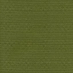 Cartenza-Uni Olive Green (070)