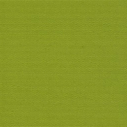 Cartenza-Uni Moss Green