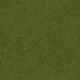 Nofruit Velours Dark Green